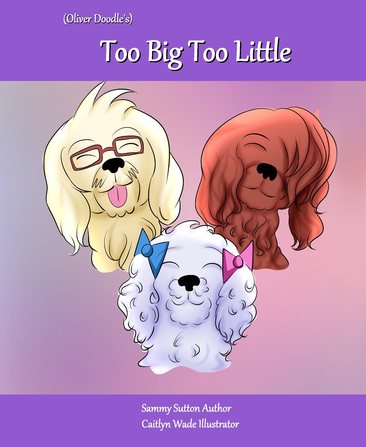 Too Big Too Little